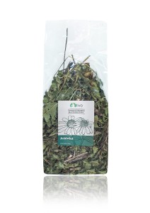 Jeżówka purpurowa Tivo 120g
