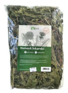 Mniszek Lekarski XXL 600g Tivo